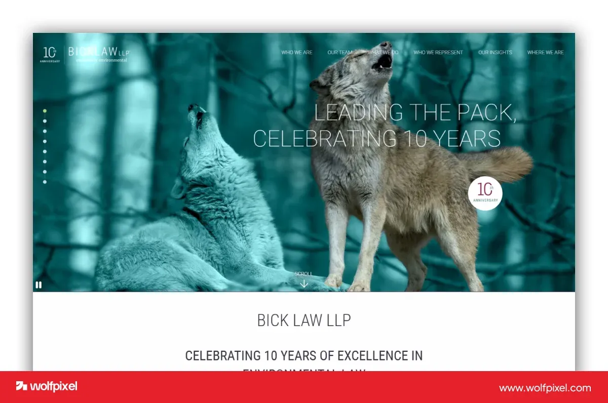 Bick Law website screenshot featuring a wolf photograph and an environmental-law brand presentation.