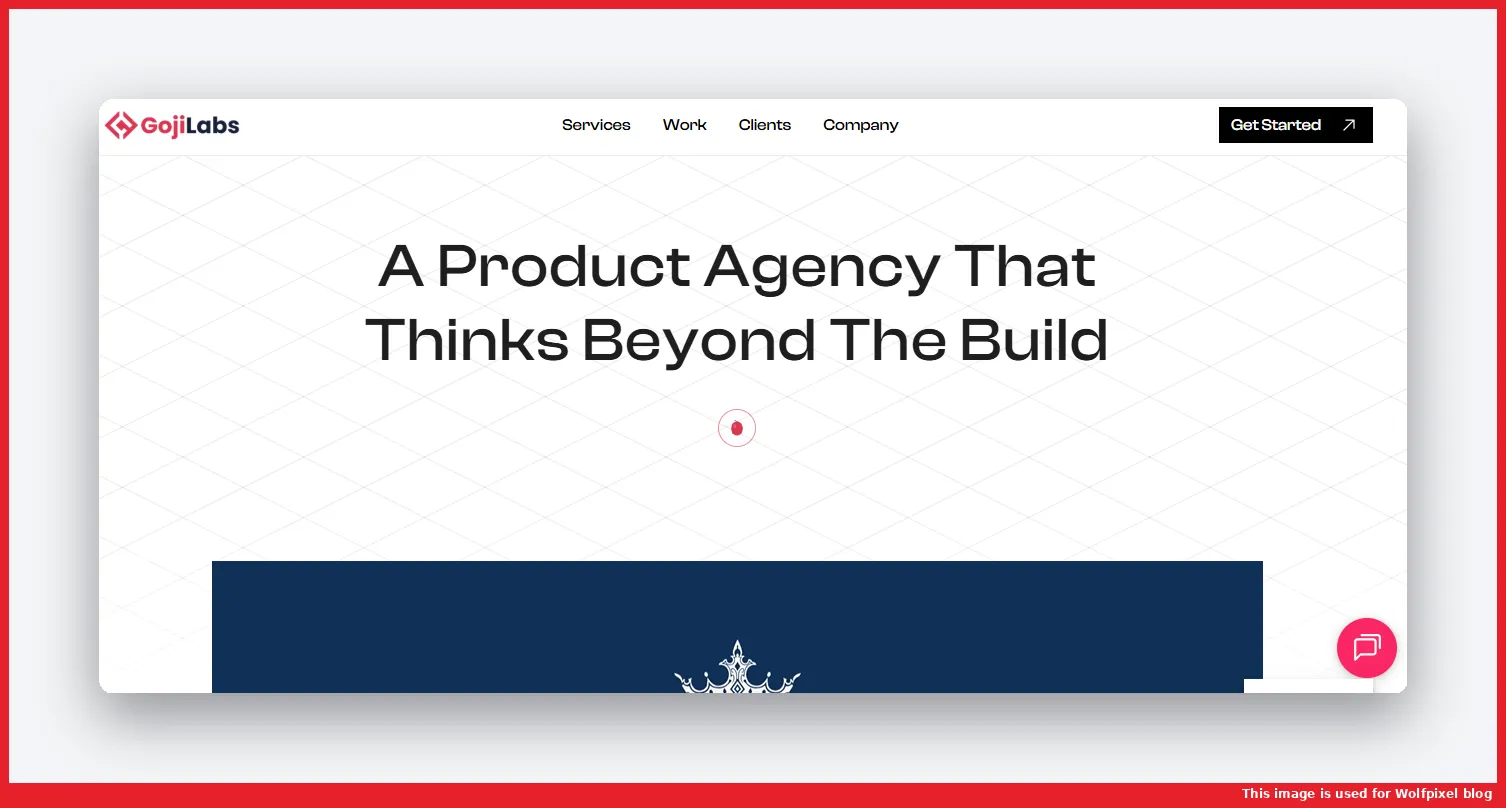 Goji Labs website homepage screenshot