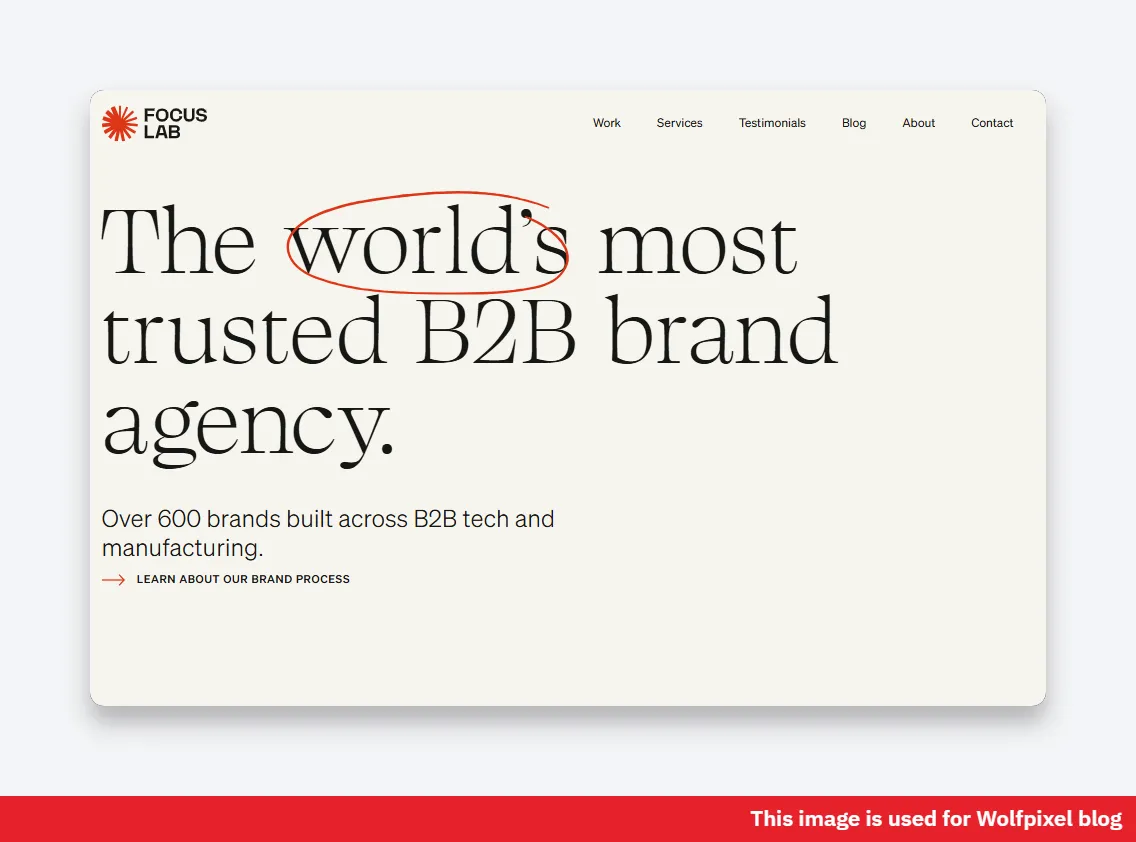 Focus Lab B2B branding work example